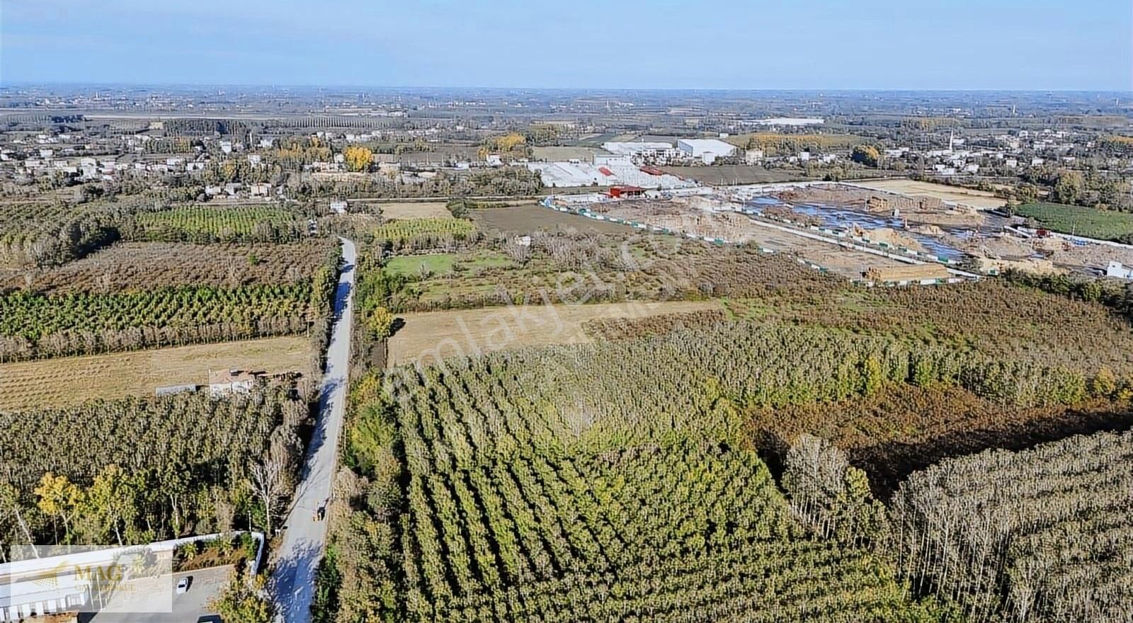 Samsun Çarşamba Eğercili De Satılık Ticari İmarlı 61 Dönüm Tarla - Görsel 5