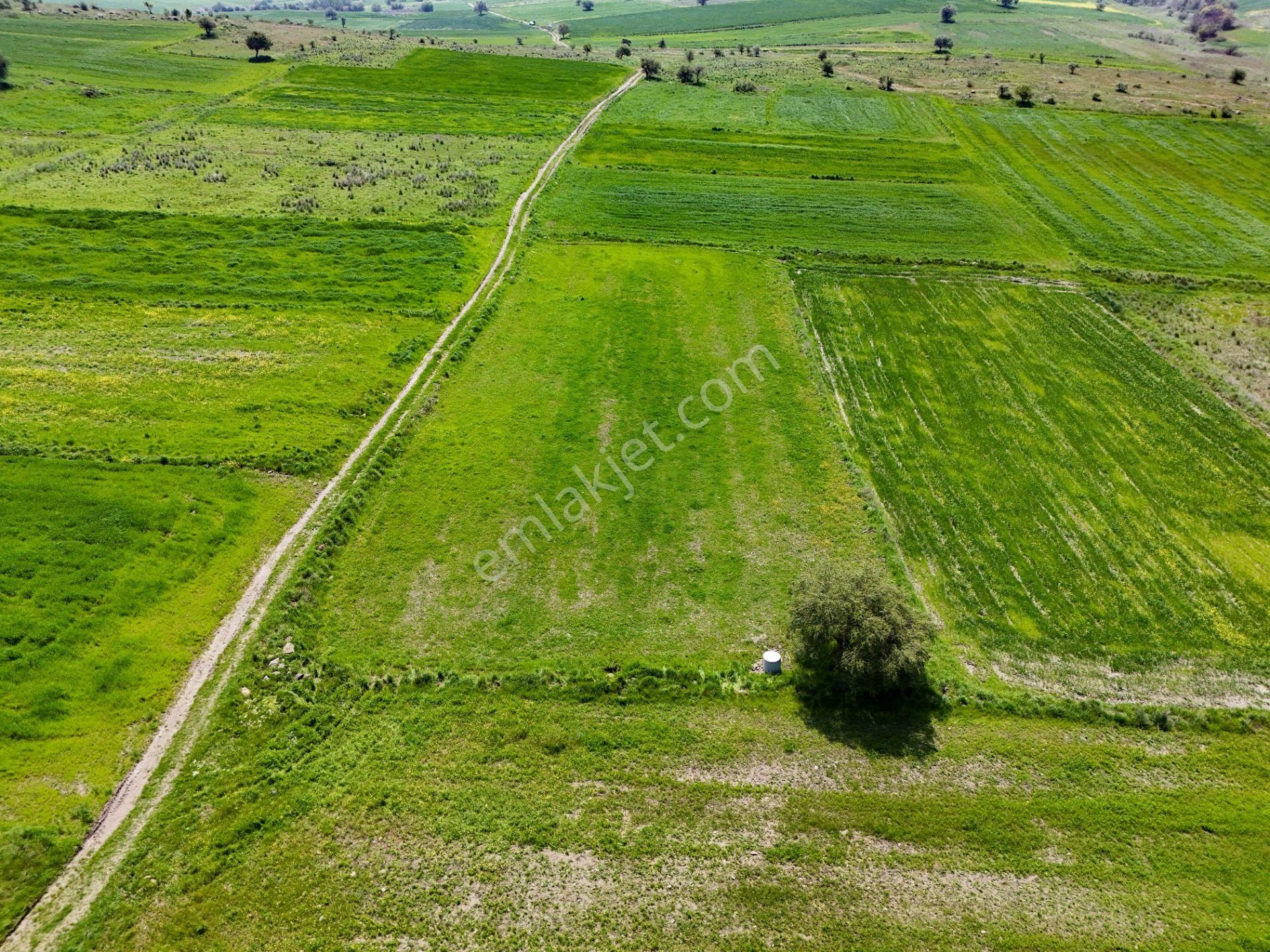 Era Söz Den Balıkesir Karesi Karakol Satılık 2595 M2 Tarla