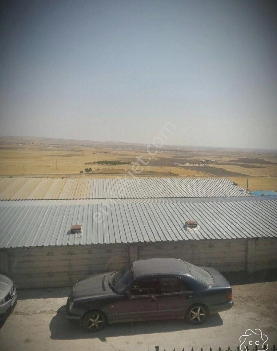 Doğa Gayrimenkulden Satılık Mandra