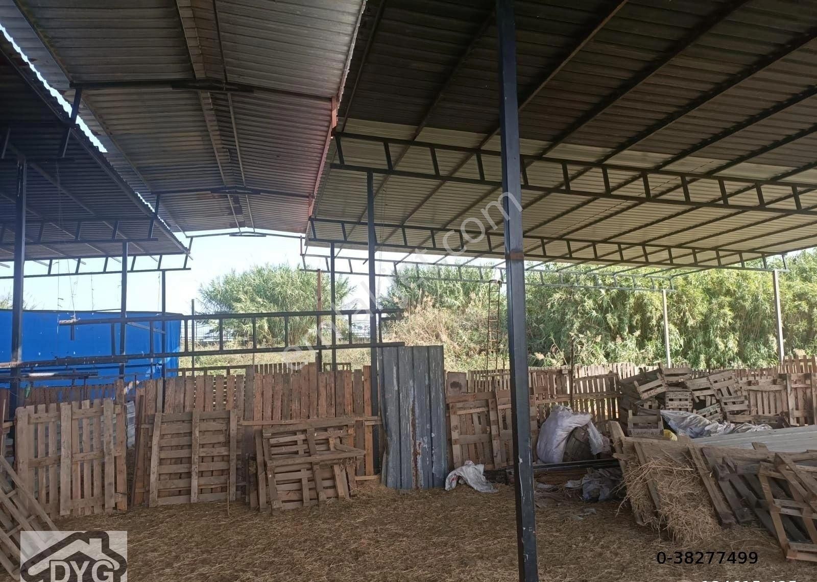 Dallıca Satılık Tarla Fabrika Bölgesi - Görsel 5