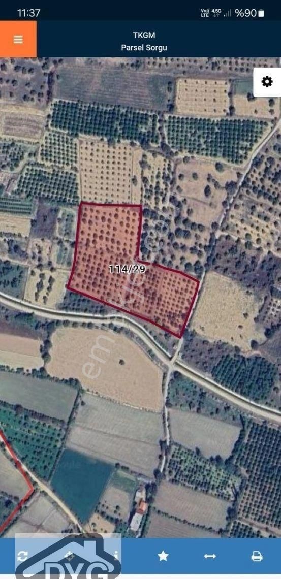 Satılık Zeytinlik - Görsel 20