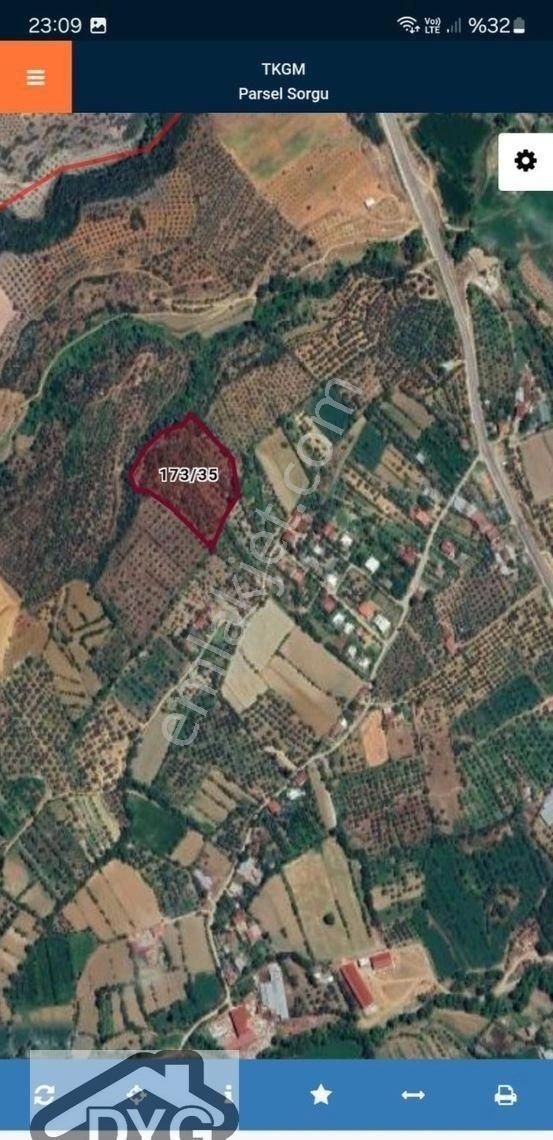 Karacasu Esençay Satılık Zeytinlik