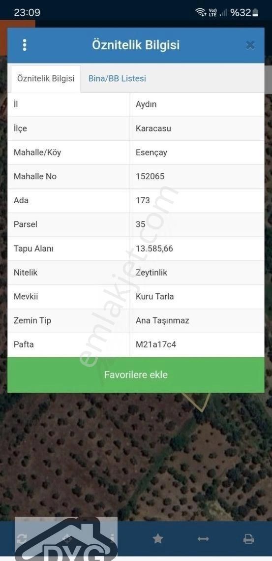 Karacasu Esençay Satılık Zeytinlik - Görsel 3