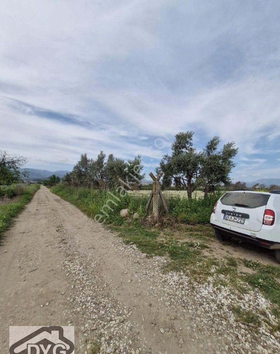 Aydın Nazilli Yatırımlık Satılık Tarla - Görsel 5