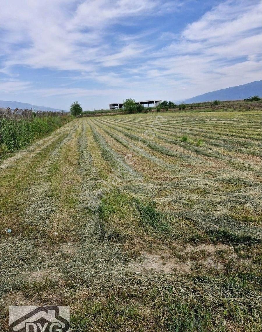 Aydın Nazilli Yatırımlık Satılık Tarla - Görsel 16