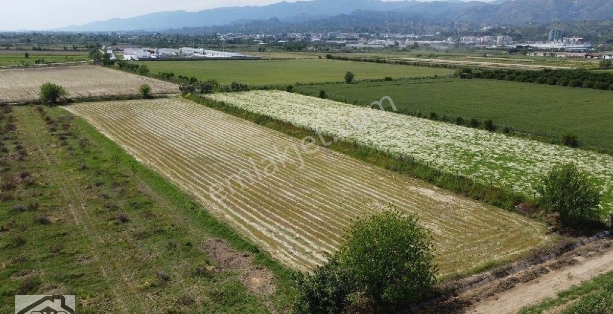Aydın Nazilli Yatırımlık Satılık Tarla - Görsel 7