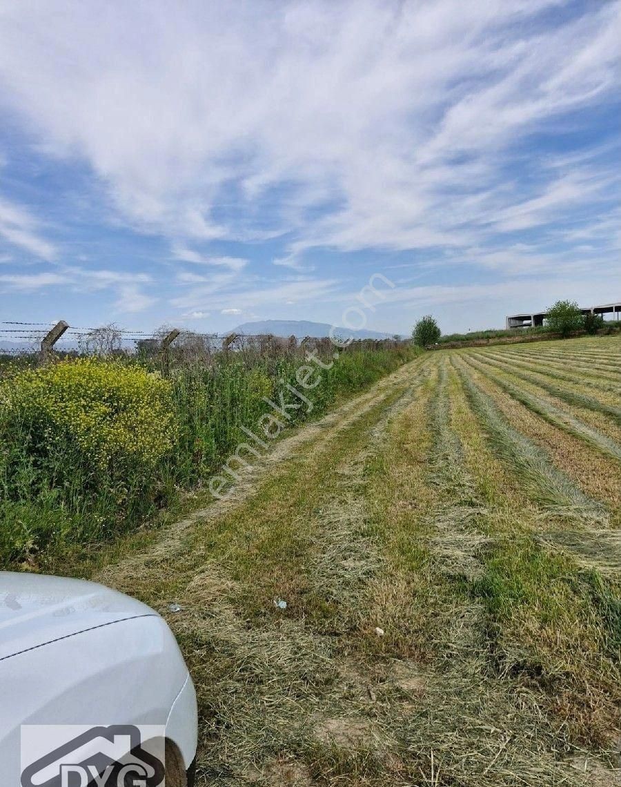 Aydın Nazilli Yatırımlık Satılık Tarla - Görsel 18