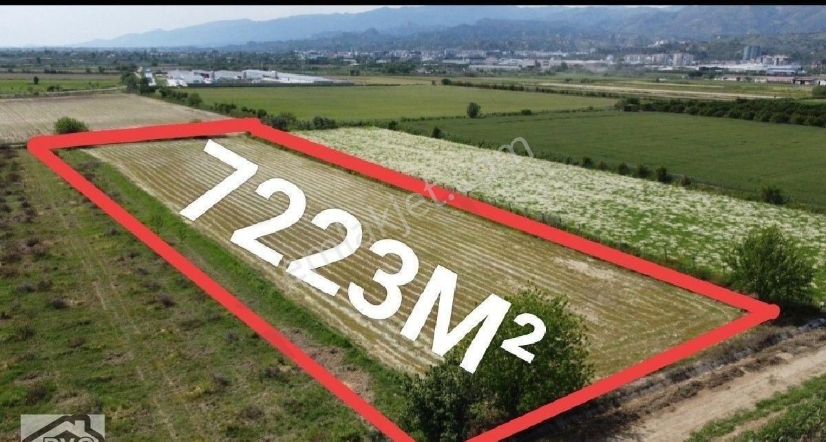 Aydın Nazilli Yatırımlık Satılık Tarla - Görsel 11