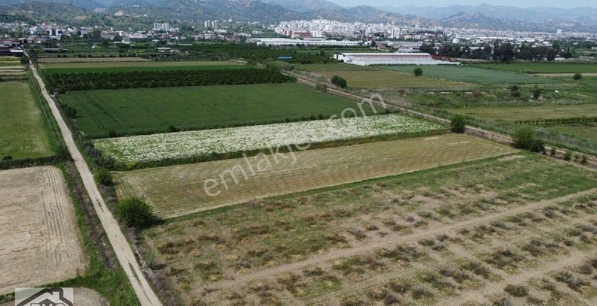 Aydın Nazilli Yatırımlık Satılık Tarla - Görsel 10