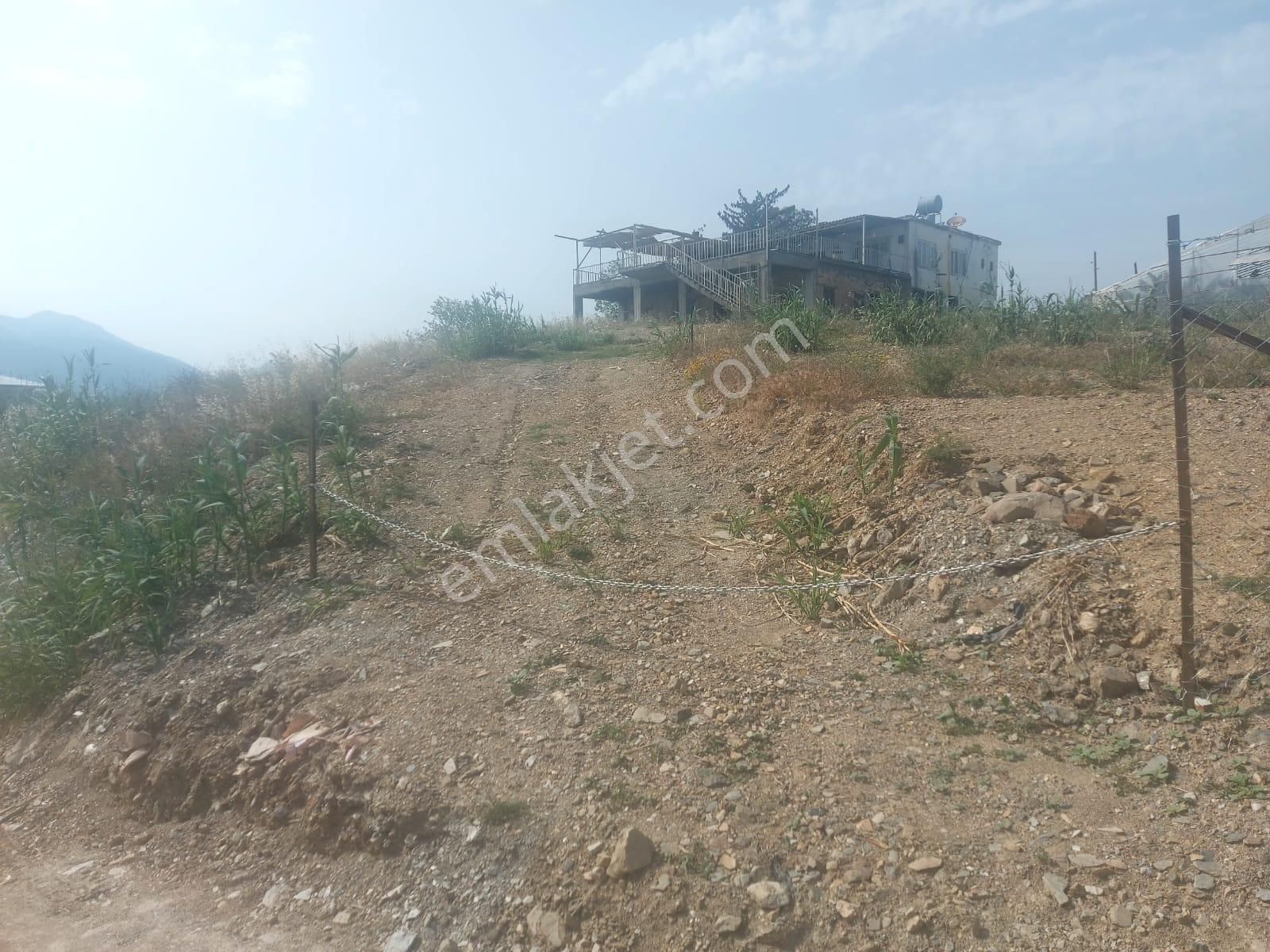 Anamur Bozdoğan Köy İçinde Satılık 2588 Metrekare İçinde Eski Ev Satılık Arsa