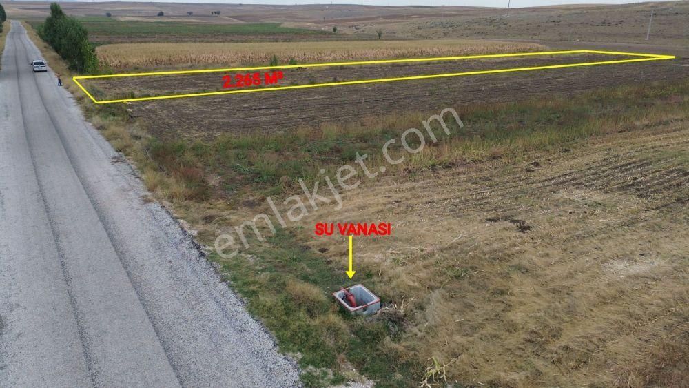 Konya Akören Orhaniye Mahallesinde 2.265 M² Müstakil Tapulu Tarla