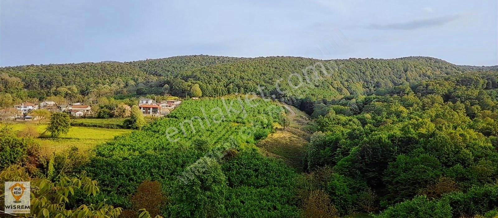 Sakarya Serdivan 2260 M2 Satılık Tarla