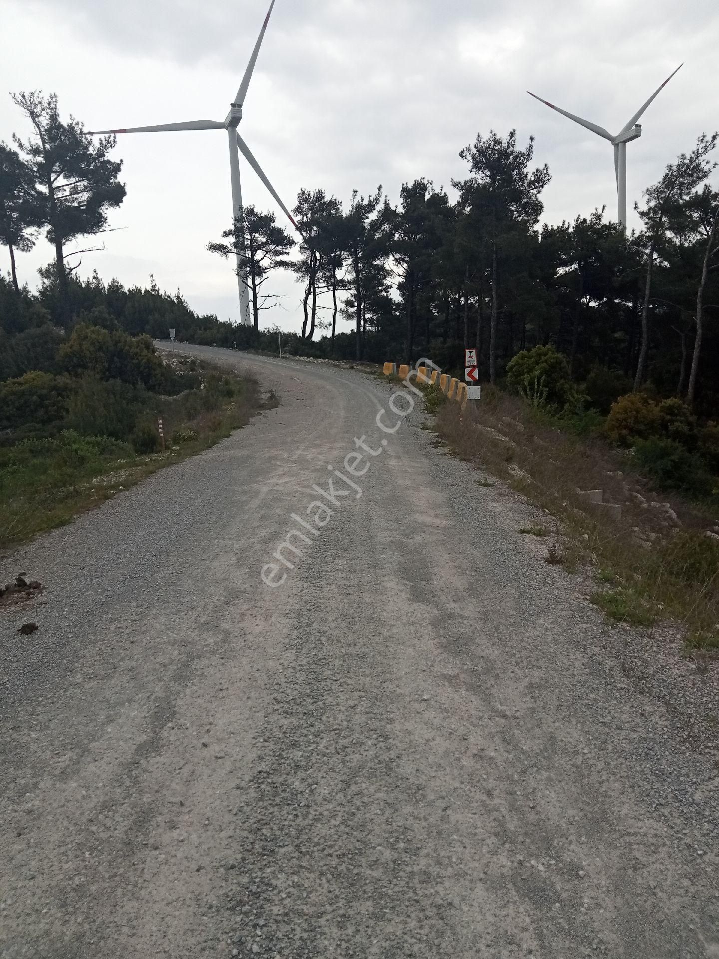Sertaç Gayrimenkulden Satılık Bir Dönüm Arazi