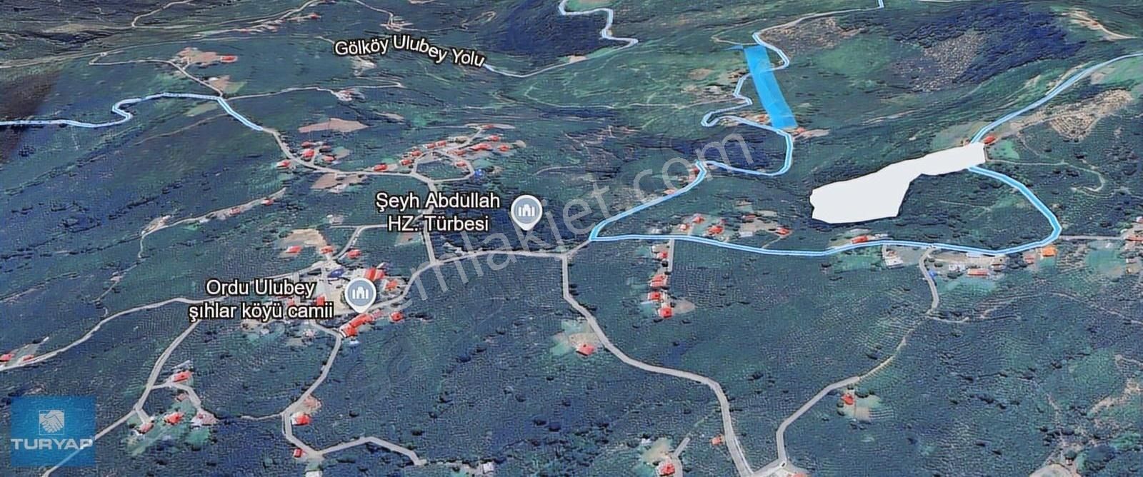 Ordu Ulubey Şıhlar Mah. Satılık Bağ Bahçe