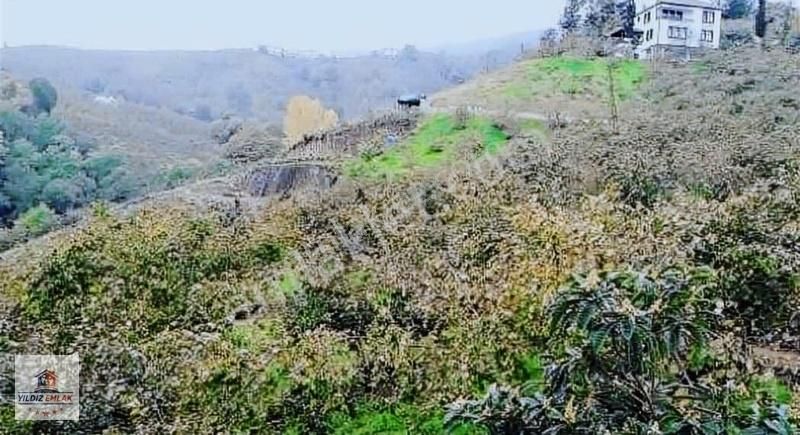 Yıldız Gayrimenkul Den Akçaabat Uğurlu Mahallesinde Satılık Arsa