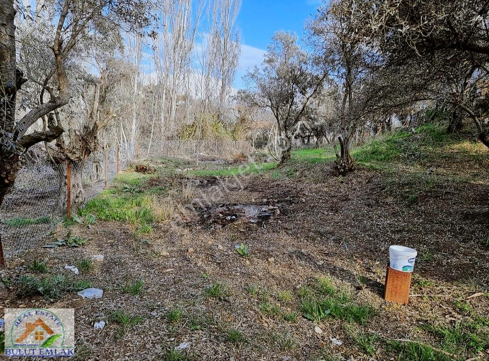 Bulut Emlak Ula Kızılağaç'da 866 M2 Kavgir Ev Ve Satılık Tarla - Görsel 3