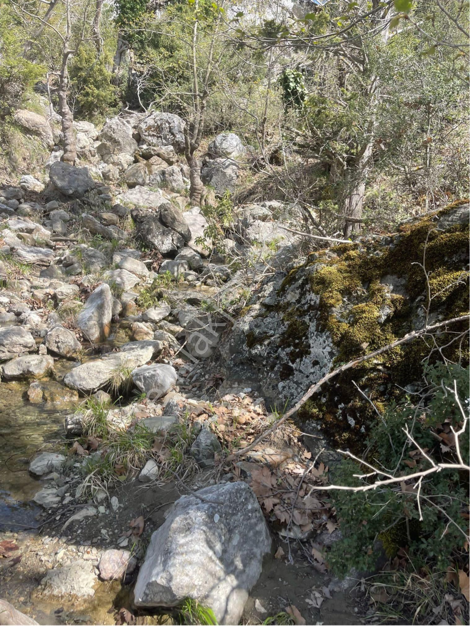Konyaaltı Üçoluk Yatırımlım Tarla