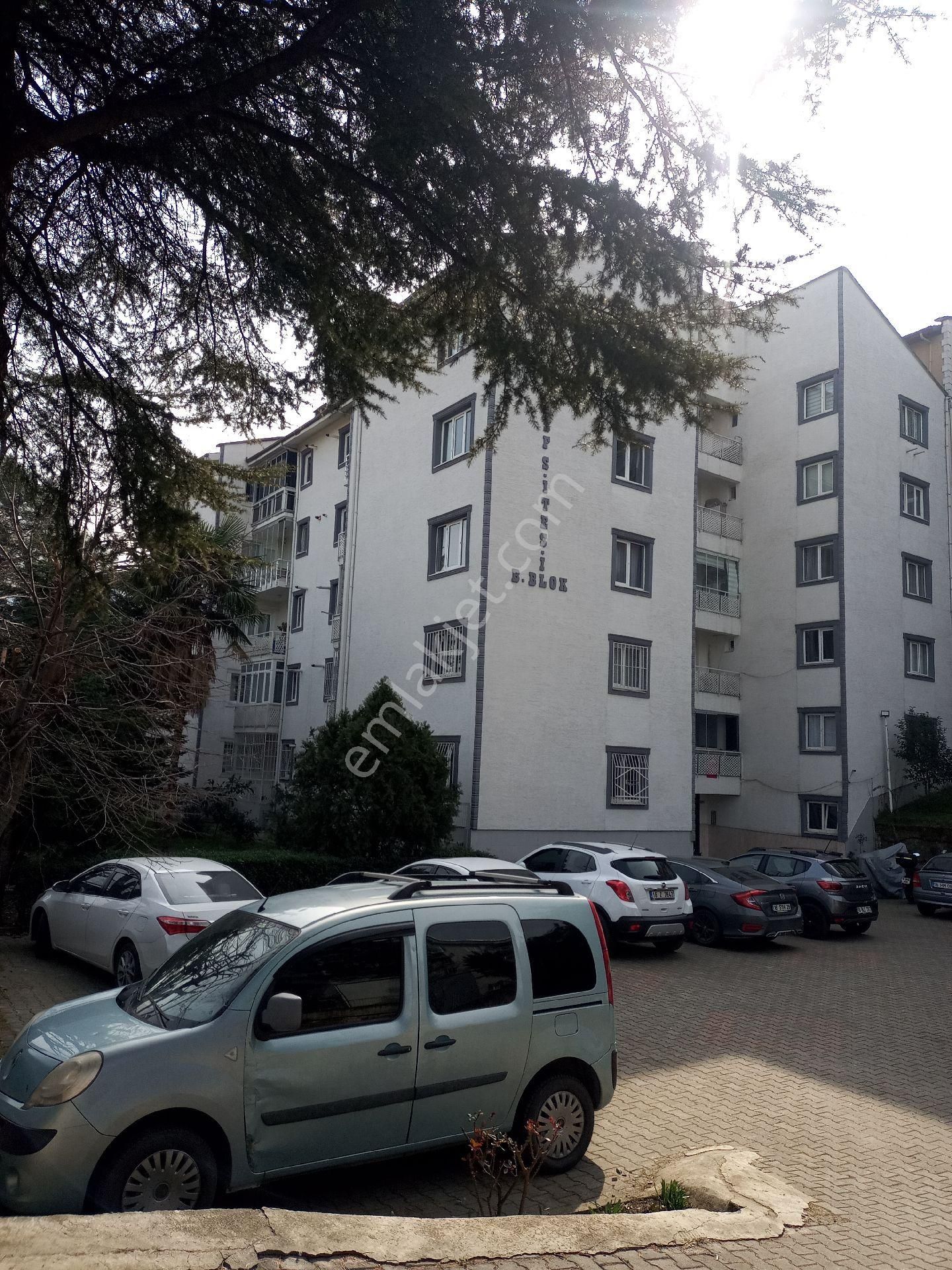 Acil Nakil Nedeniyle Satılık Masrafsız Daire