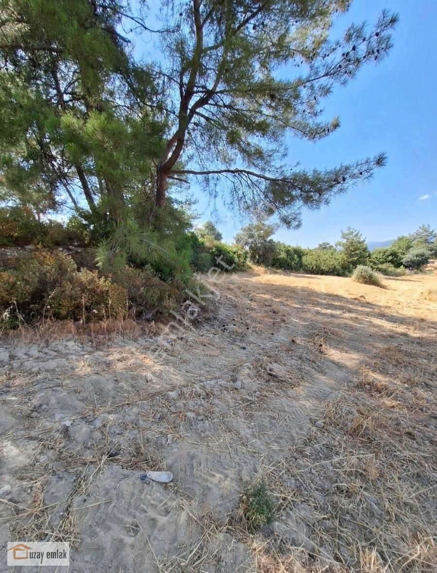 Muğla Milas Alatepe Köyünde Satılık 13000 M2 Tarla - Görsel 8
