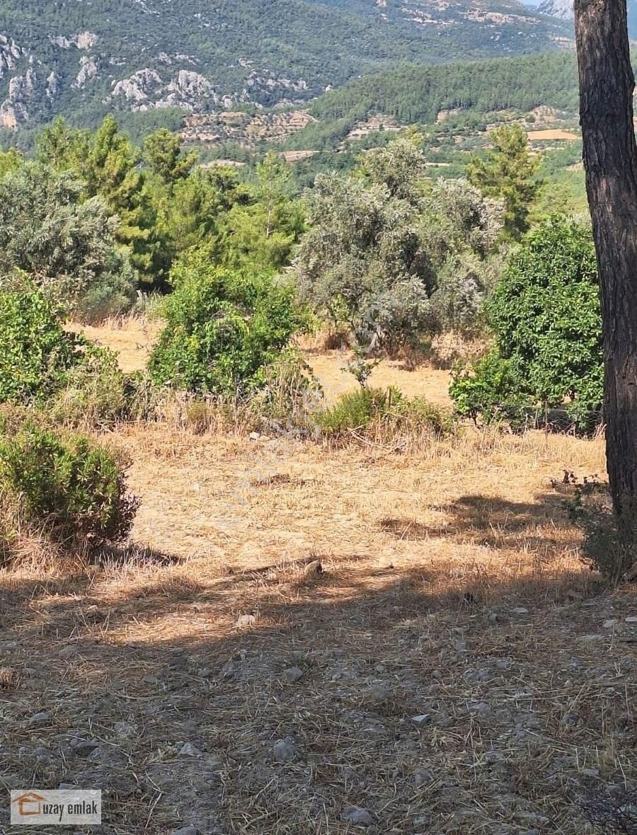 Muğla Milas Alatepe Köyünde Satılık 13000 M2 Tarla - Görsel 4