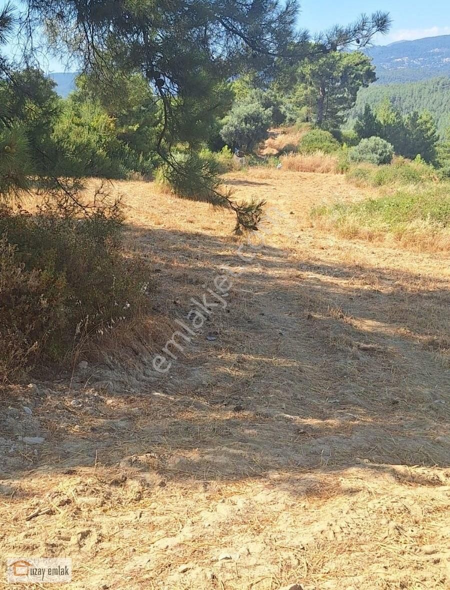 Muğla Milas Alatepe Köyünde Satılık 13000 M2 Tarla - Görsel 7