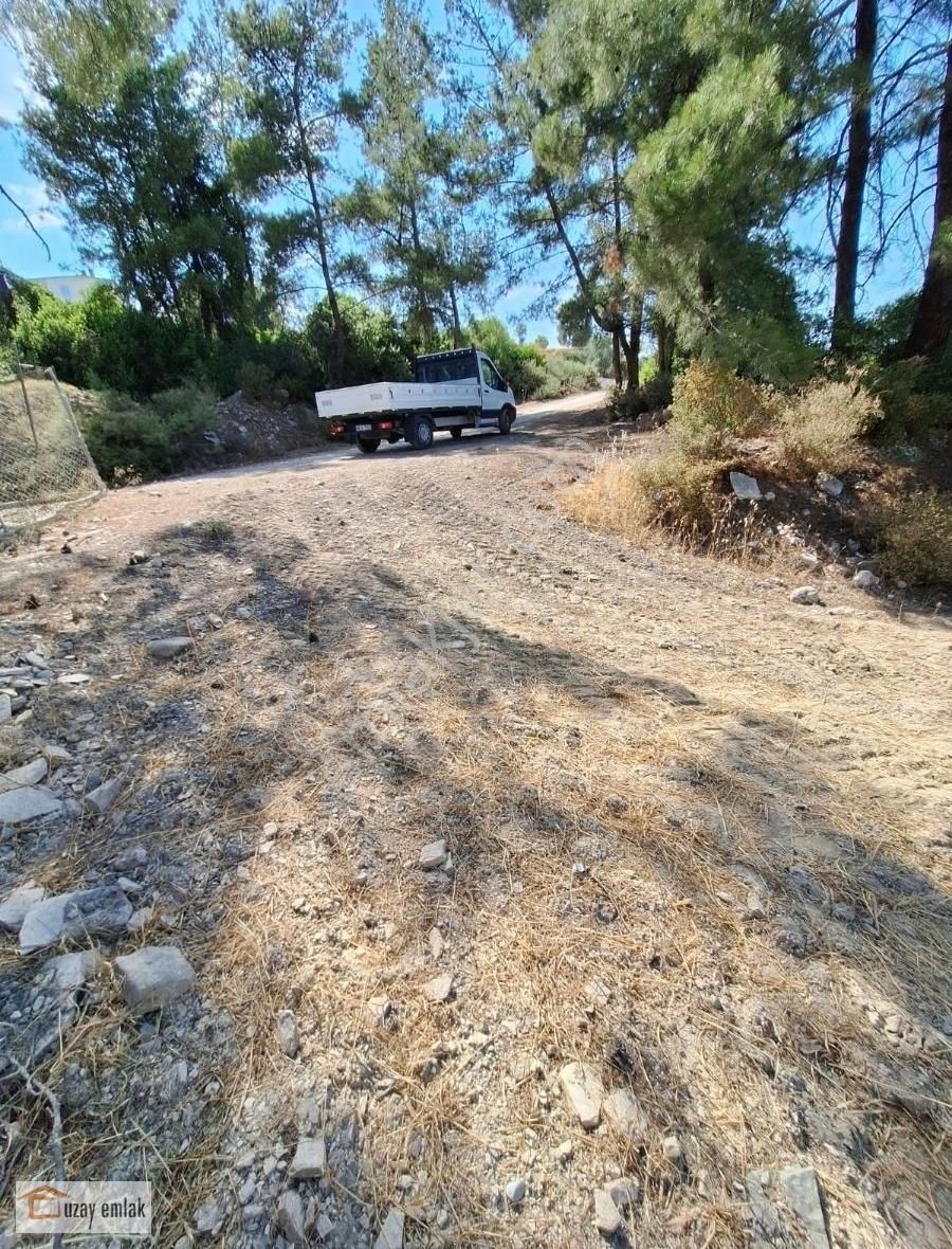Muğla Milas Alatepe Köyünde Satılık 13000 M2 Tarla - Görsel 2