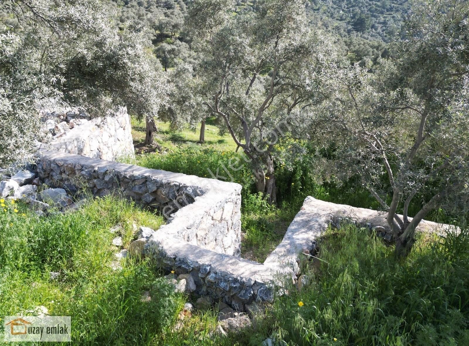 Muğla Milas Yusufca Mahallesinde Satılık Ev Arsası