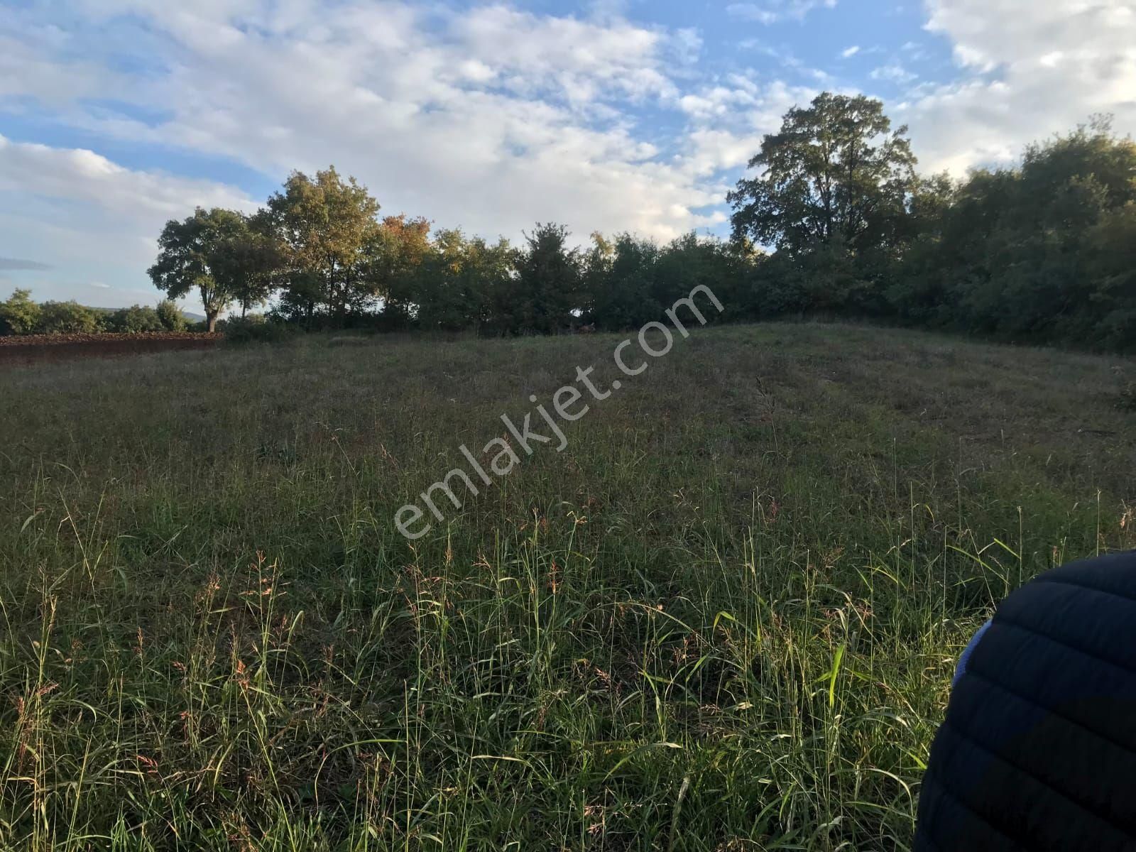 Yenişehri Günece Satılık Arsa