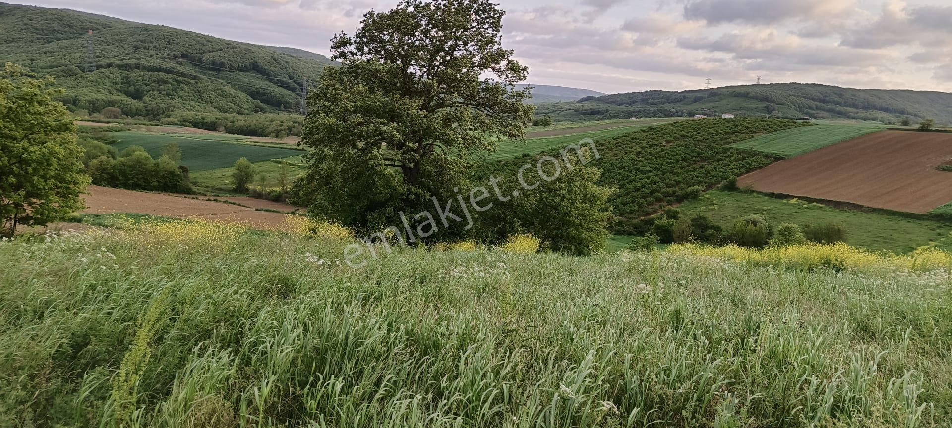 Kocaeli Kandırada Satılık Arazi