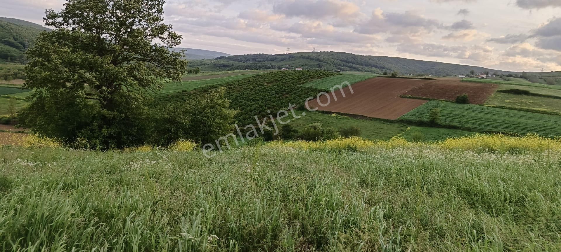 Kaçmaz Emlak'tan Kocaeli Kandıra'da Satılık 1.543m2. Arsa - Görsel 6