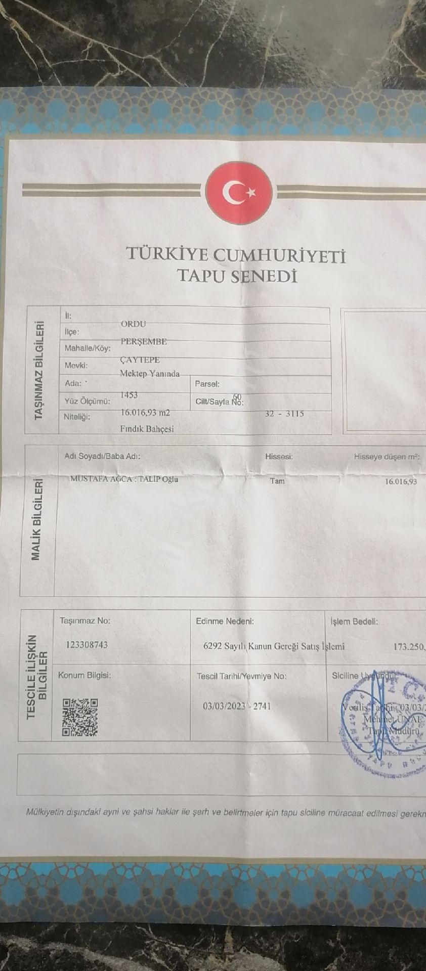 İmarlı Fındık Bahçesi - Görsel 2