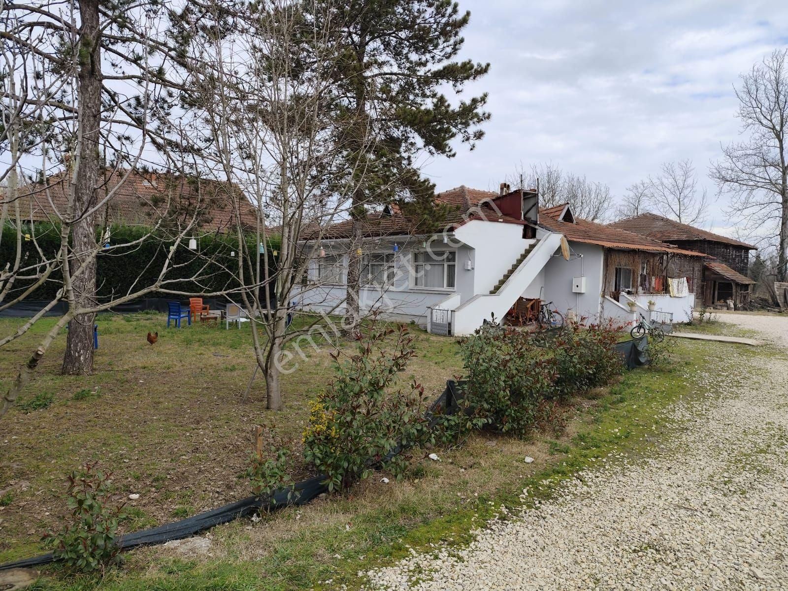 Sakarya Akyazı Da Satilik Arazi