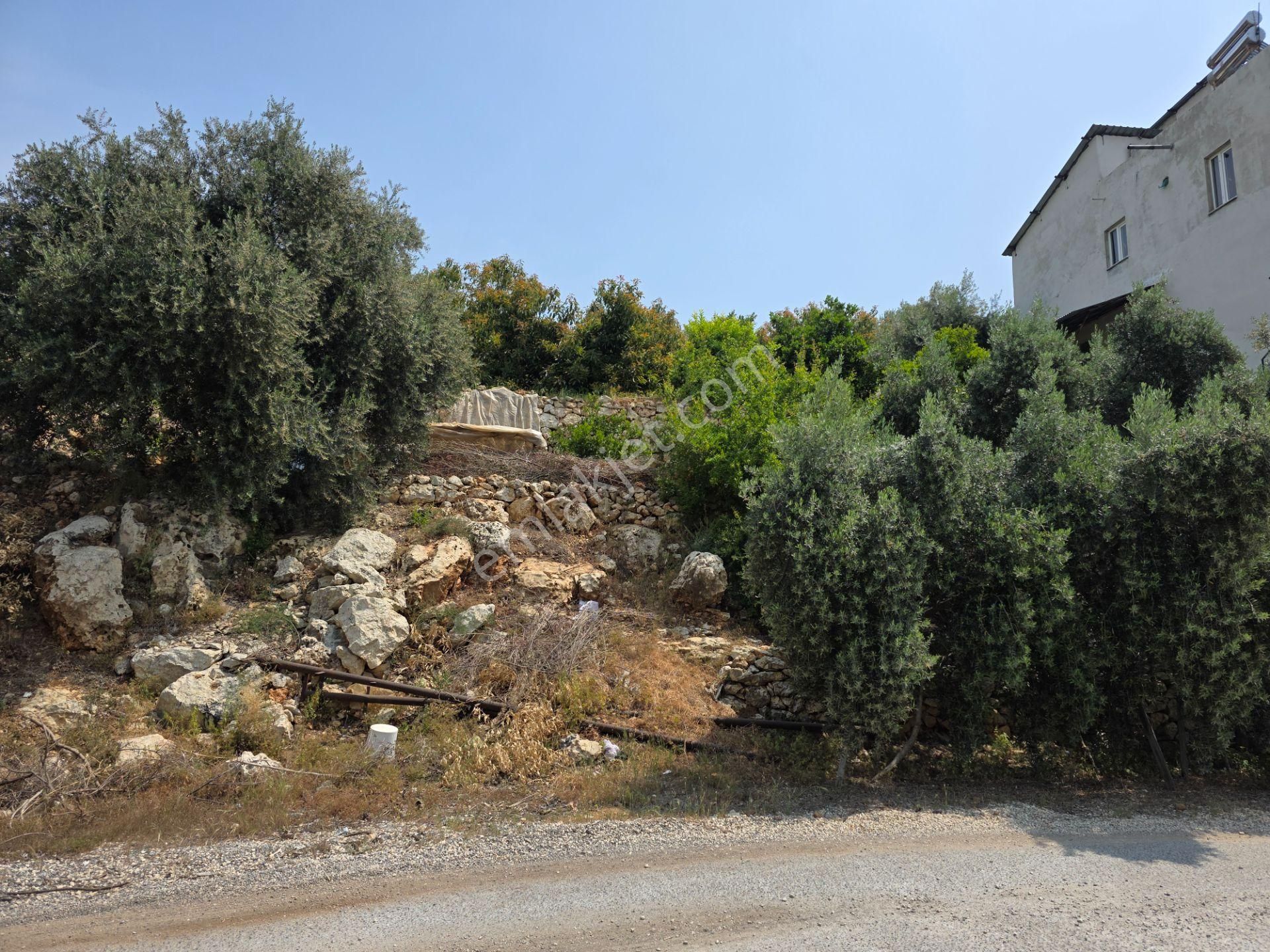 Erdemli Kocahasanlı Da Satılık 3 Katlı Müstakil Ev - Görsel 33