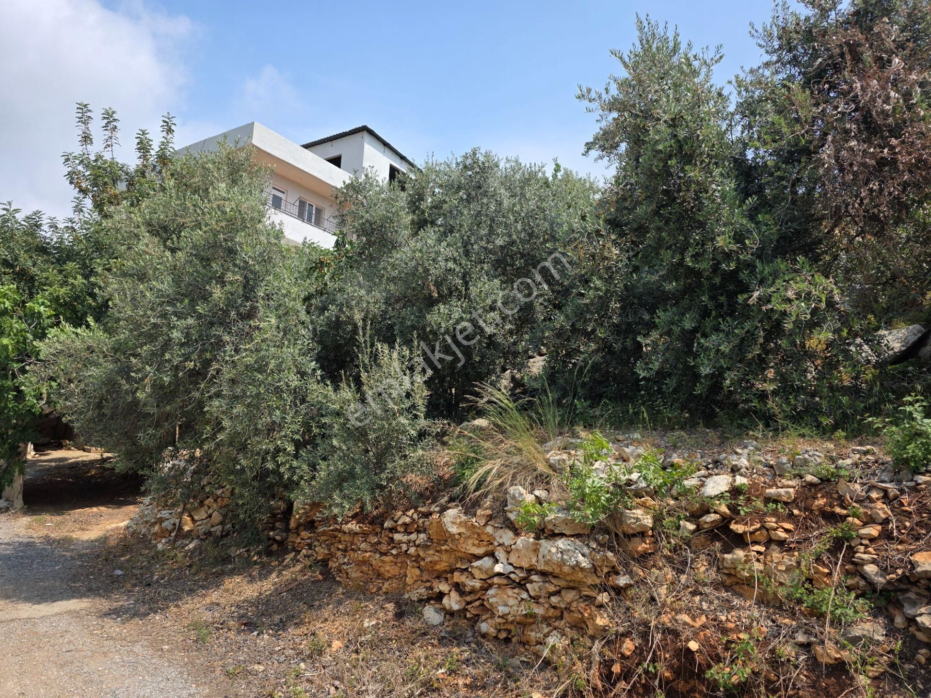 Erdemli Kocahasanlı Da Satılık 3 Katlı Müstakil Ev - Görsel 4