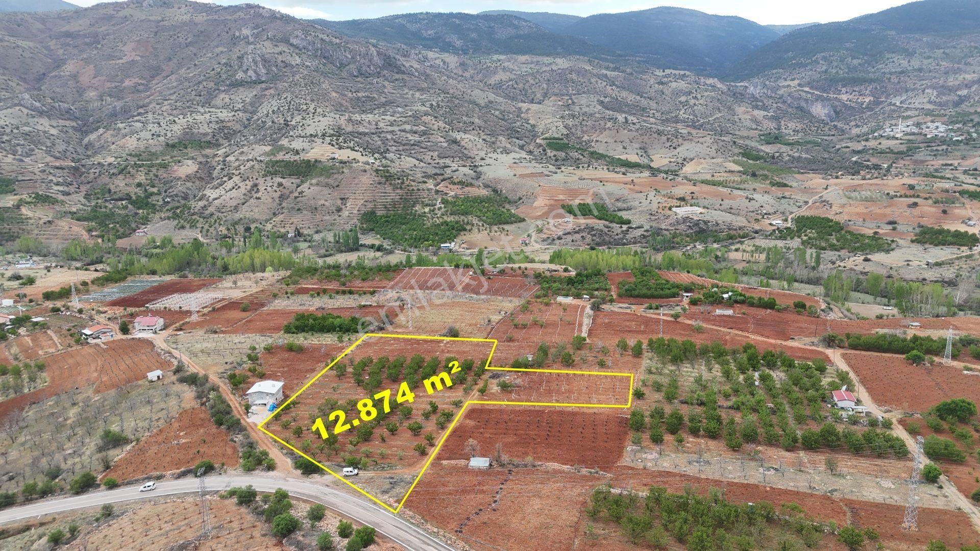 Konya / Hadim / Yağcı Mahallesinde Toplam 12.874 M² Yan Yana 2 Parsel Satılık