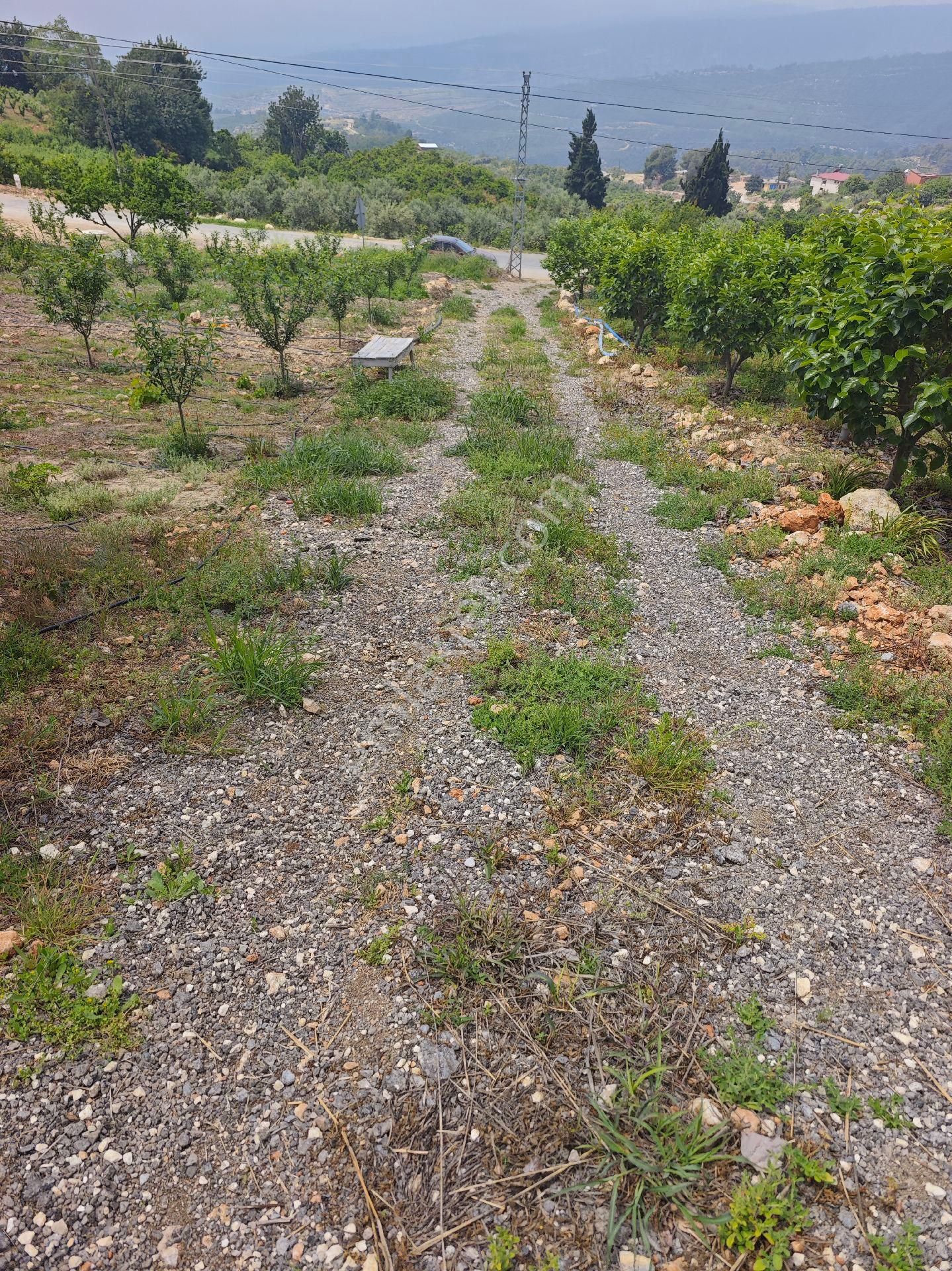 Mezitli Pelitkoyağı 395 M2