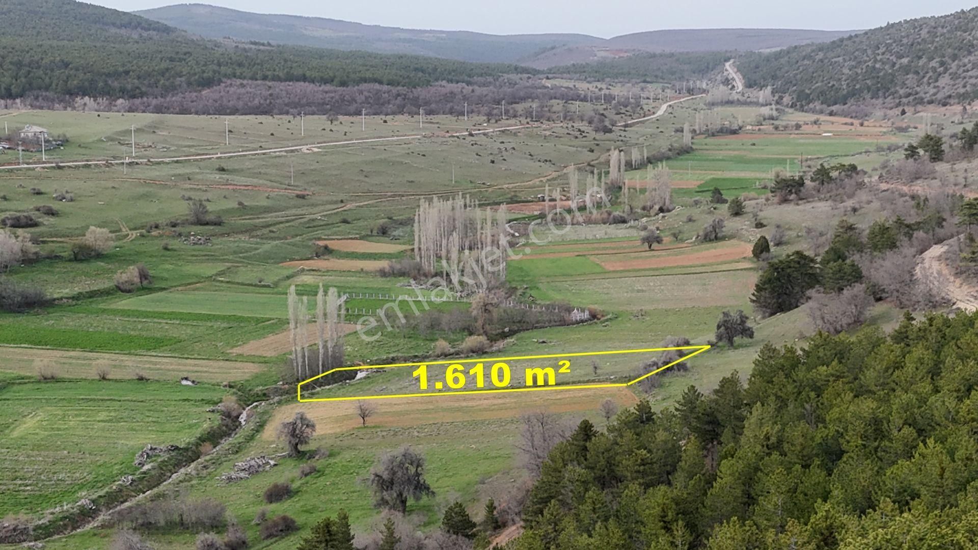 Konya / Ilgın / Gökbudak Mahallesinde 1.610 M² Müstakil Tapulu Tarla