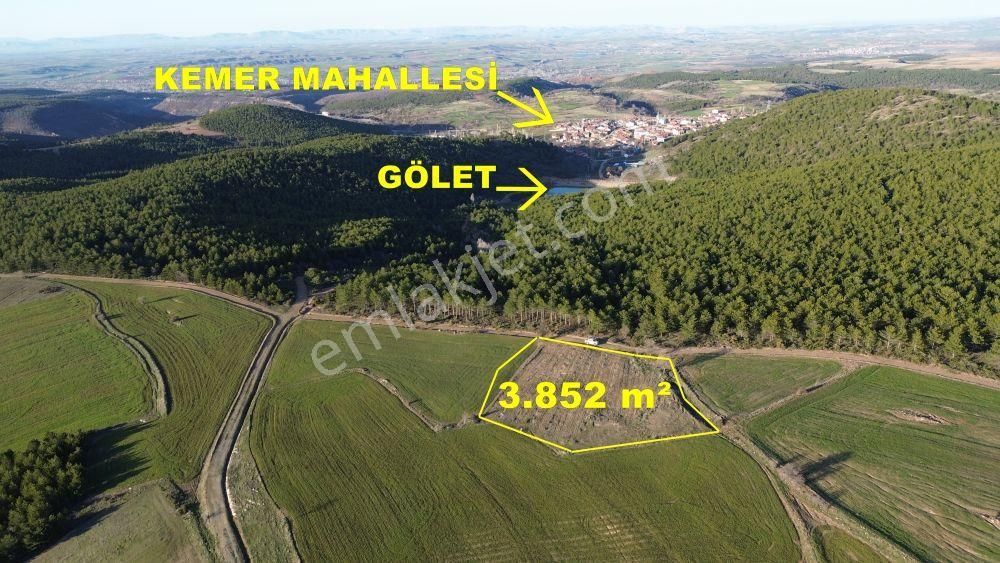 Konya / Doğanhisar / Kemer Mahallesinde 3.852 M² Müstakil Tapulu Meyve Bahçesi