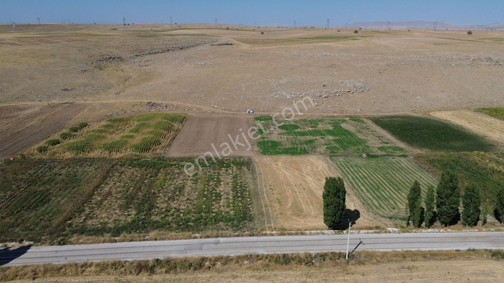 Konya / Akören / Orhaniye Mahallesinde 1.106 M² Müstakil Tapulu Tarla