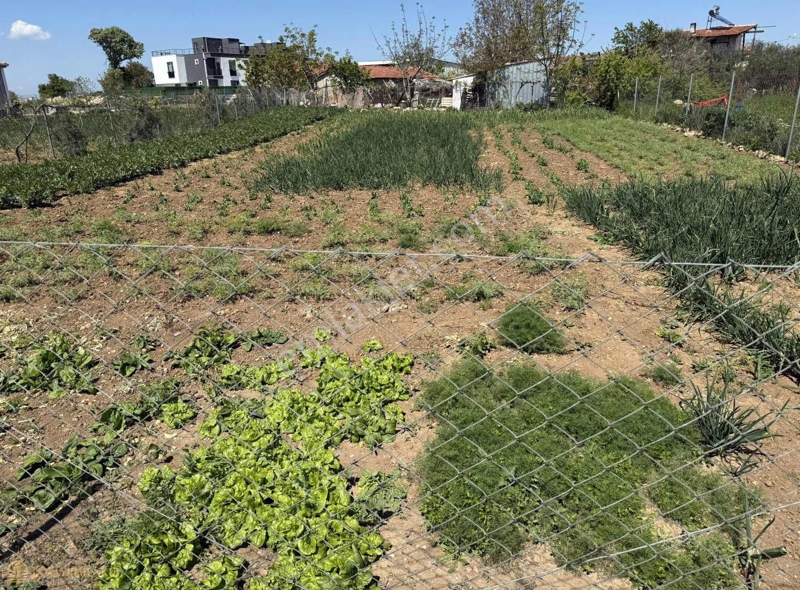 Çanakkale Lapseki Kangırlı Köyün'de Satılık Arsa