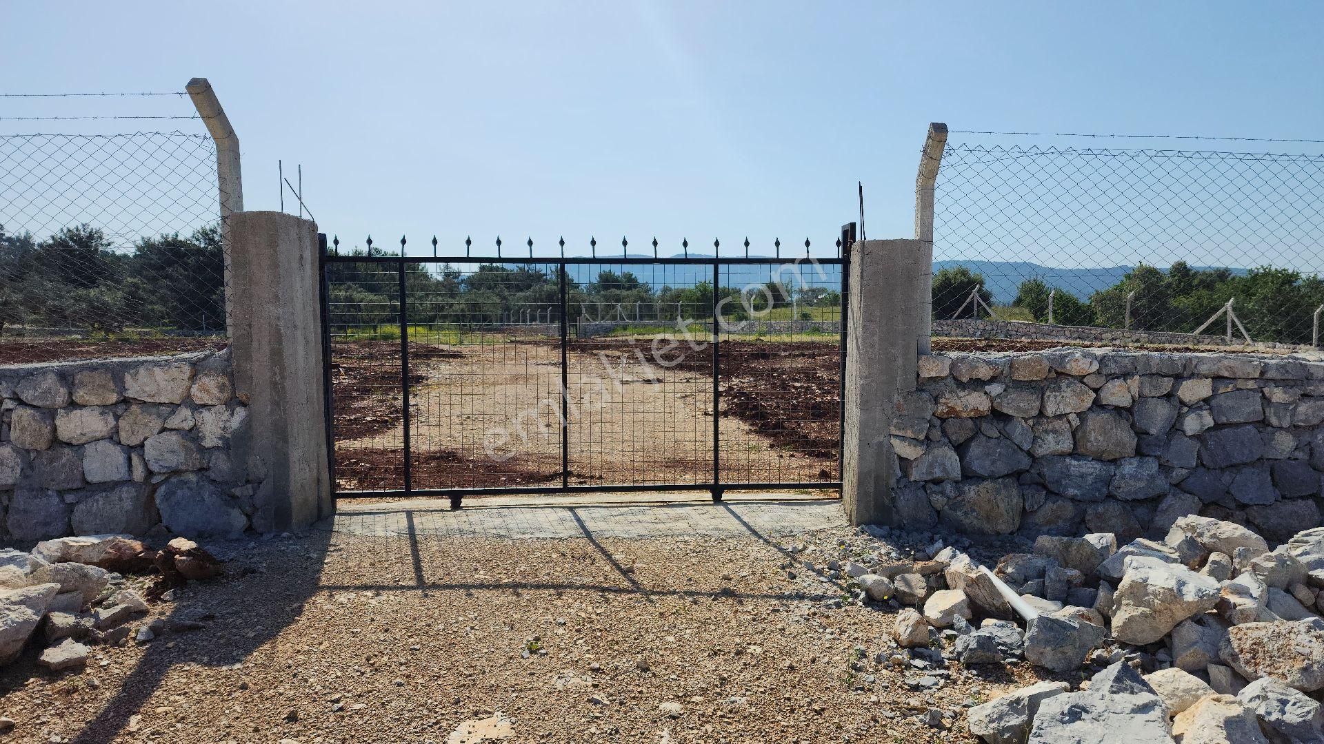 Satılık:kazıklı Koyuna 2300m Mesafede İmar Planı İçinde Tarla