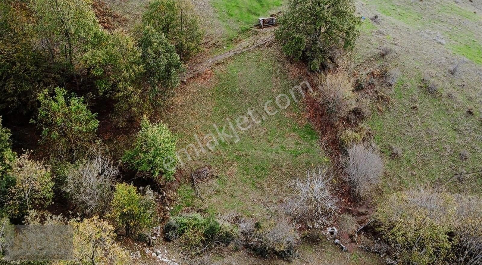 Çanakkale-biga/ Işıkeli Köyün'de Satılık Bahçe
