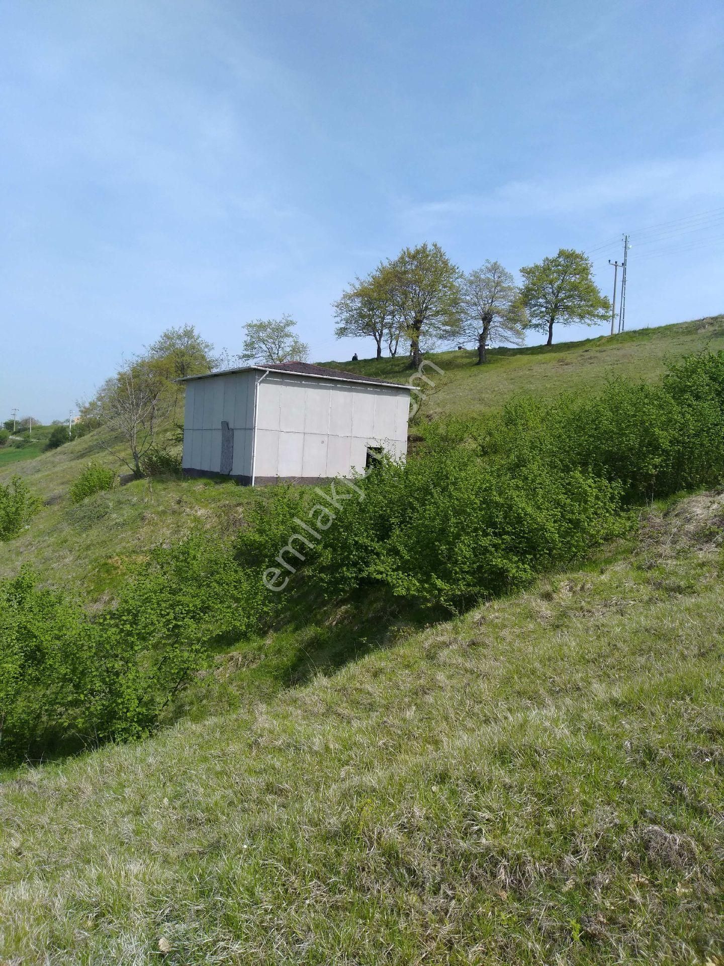 Debrem Evi