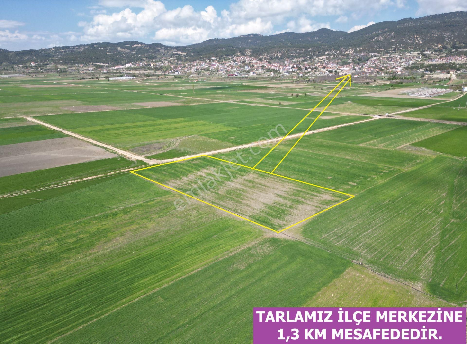 🦋lobby Fortis'ten Satılık Çameli Merkezde 3856 M² Tarla🦋 - Görsel 4
