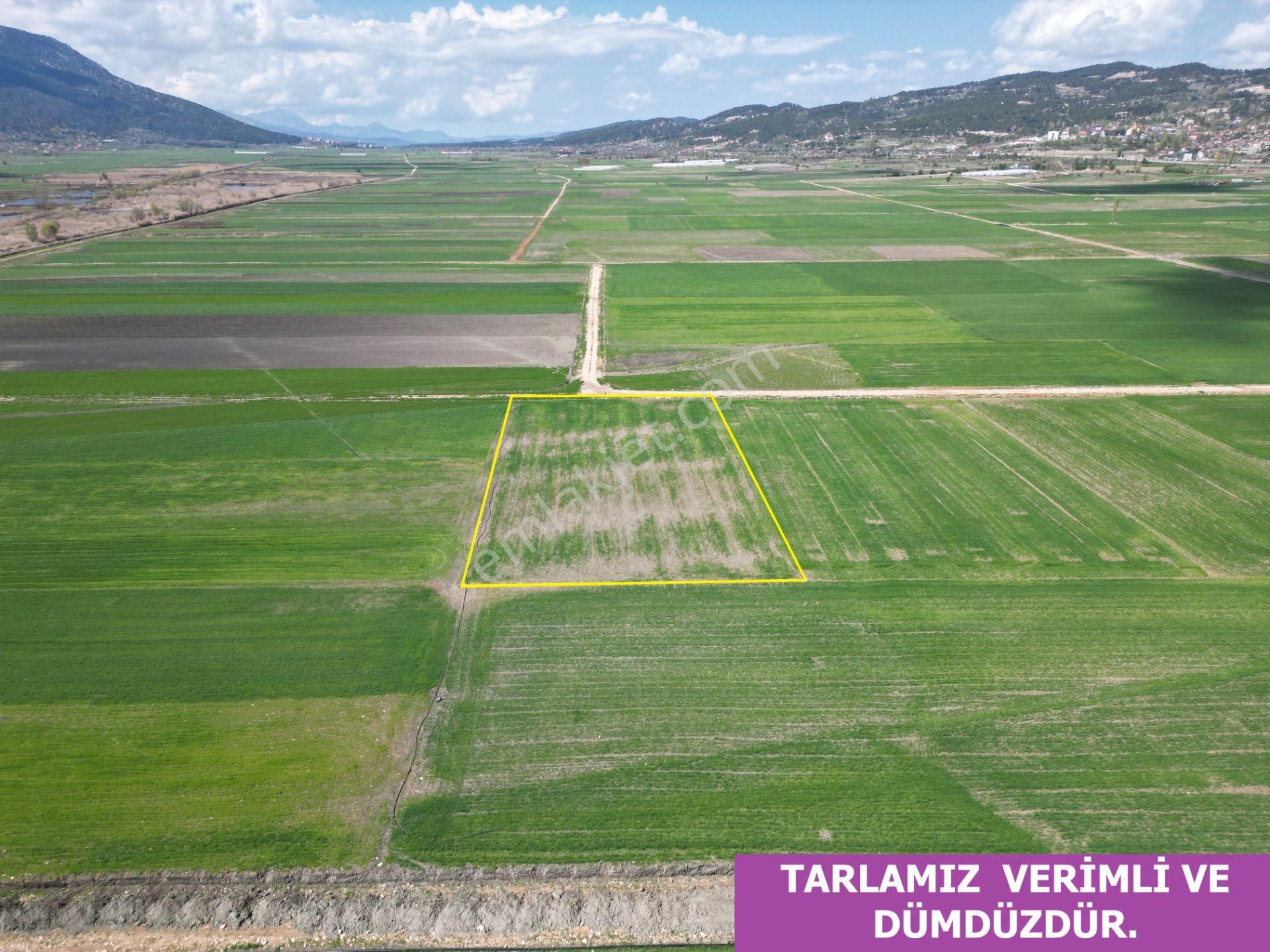 🦋lobby Fortis'ten Satılık Çameli Merkezde 3856 M² Tarla🦋 - Görsel 6