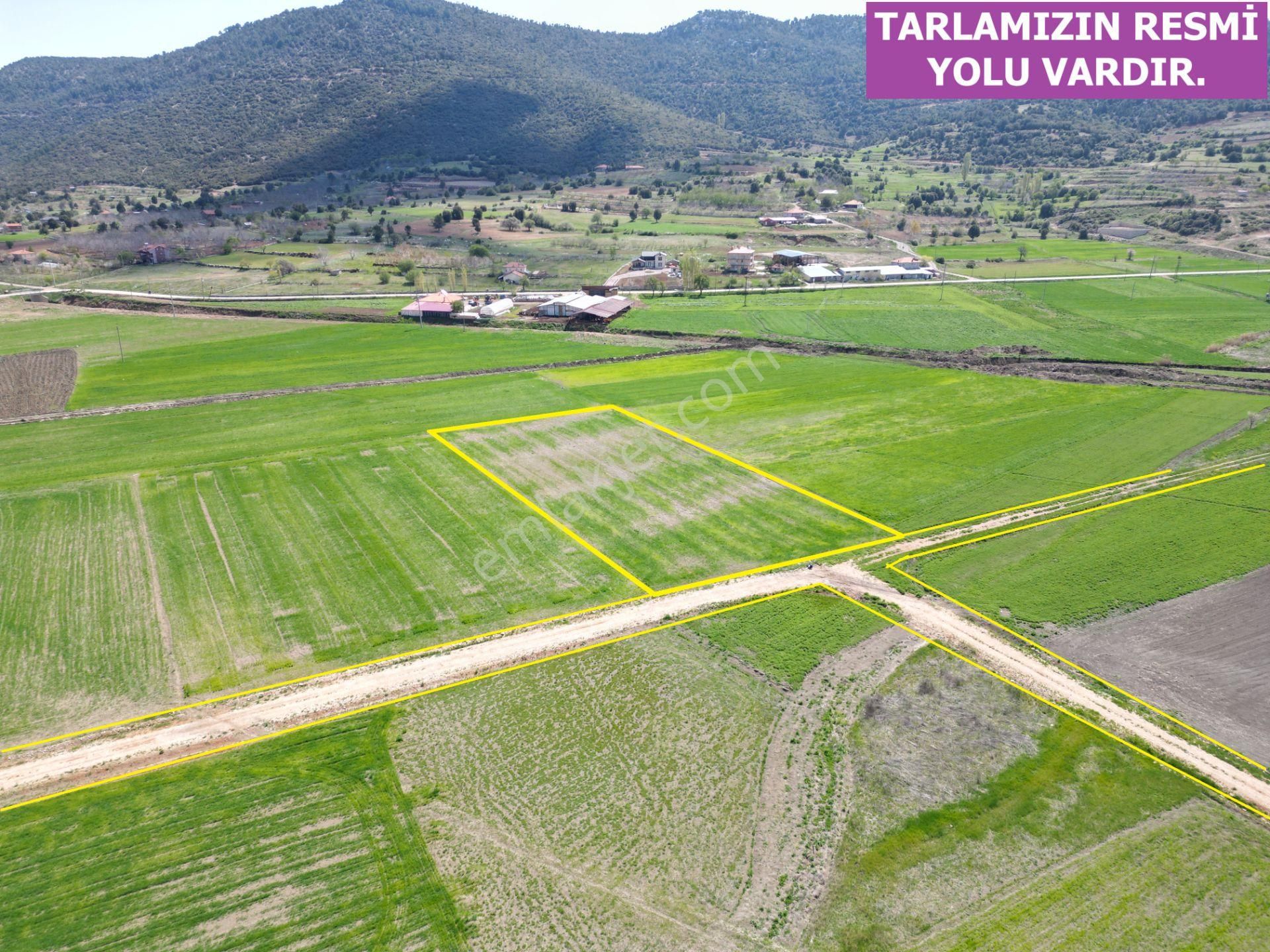 🦋lobby Fortis'ten Satılık Çameli Merkezde 3856 M² Tarla🦋 - Görsel 2