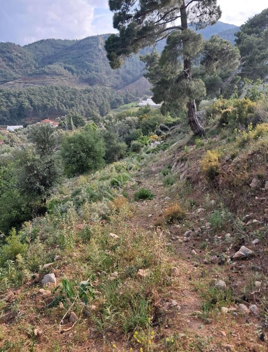 Mercan'dan Yakacık'ta Tek Tapu Köyiçi İmarlı 1.345m2 Arsa