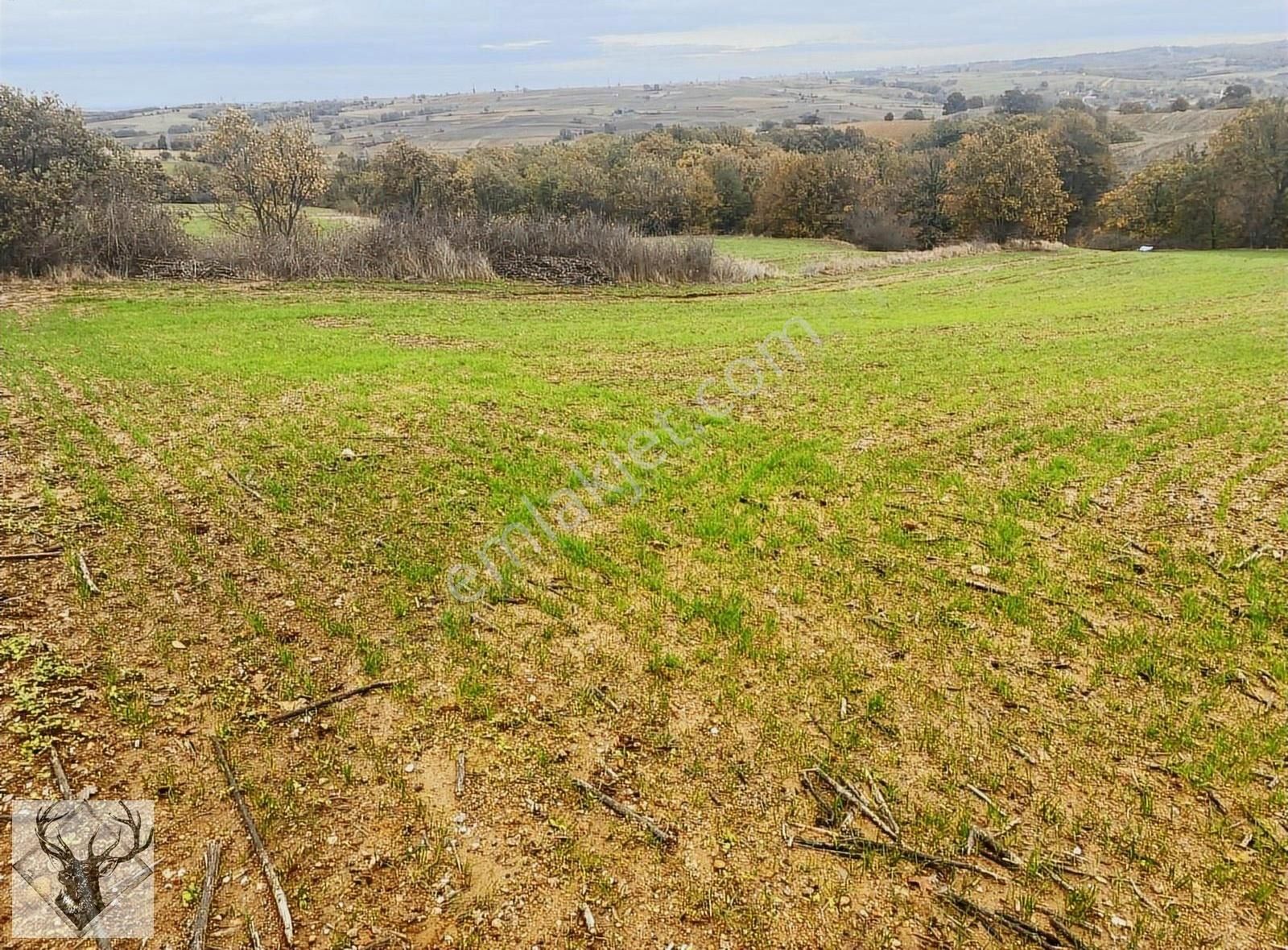 Uzunköprü Beykonak Köyünde 7.065 M² Tek Tapulu Satılık Tarla