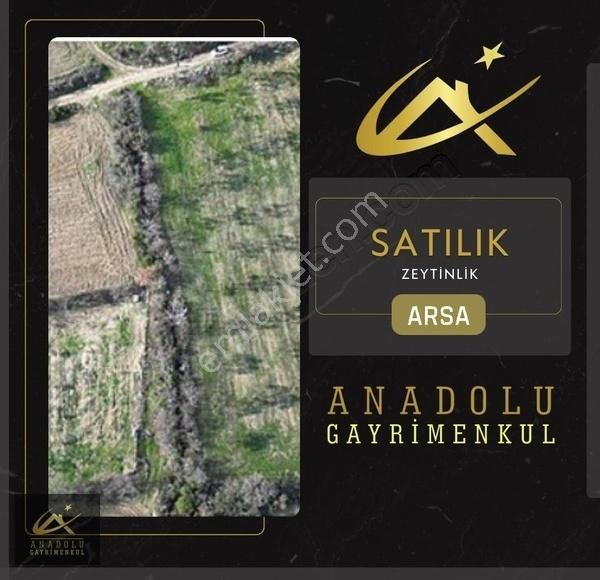 Anadolu'dan Evciler Köyünde 4.575 M2 Satılık Zeytinlik