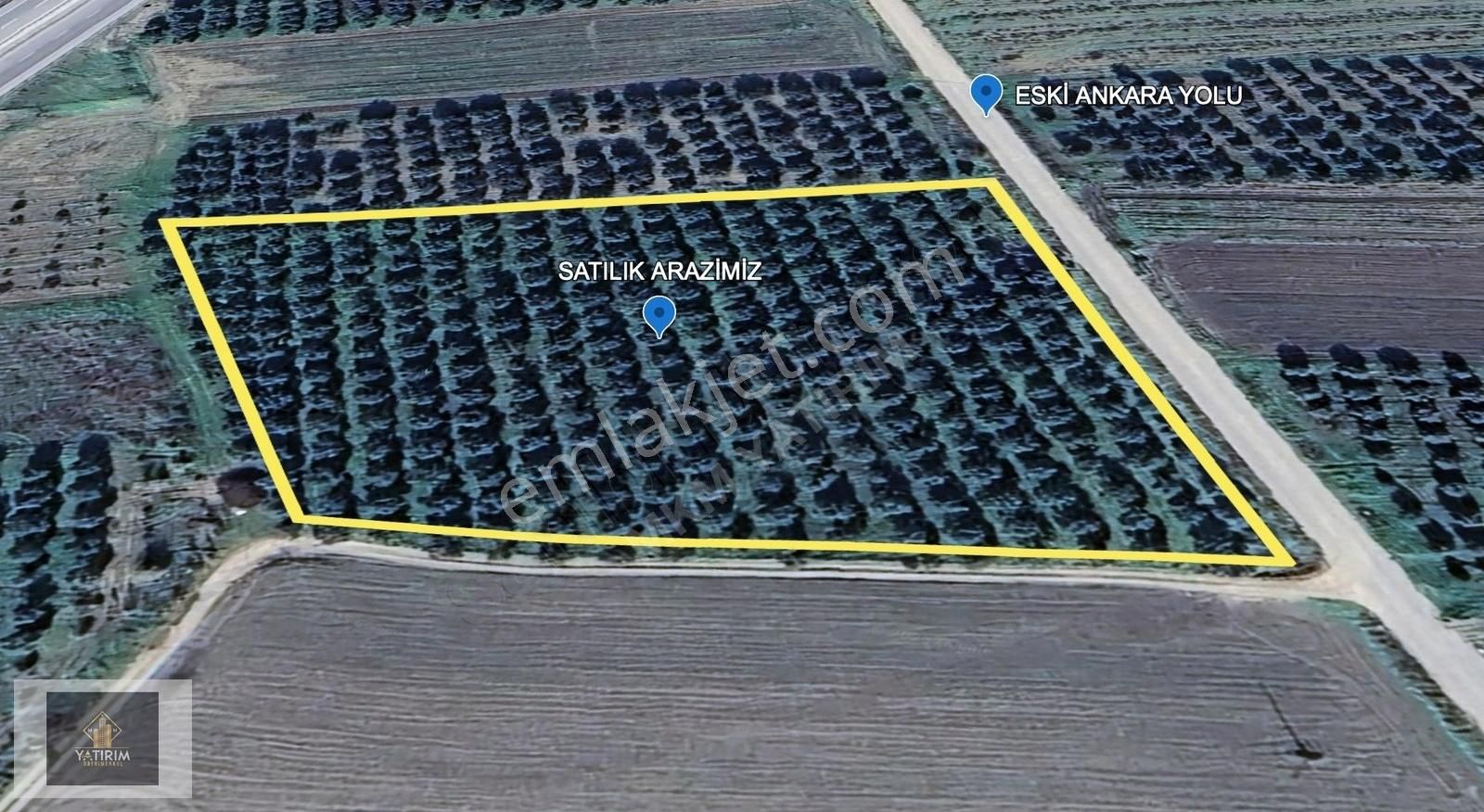 Akselendi Eski Ankara Yoluna Sıfır Konumda 9600 M2 Zeytinlik